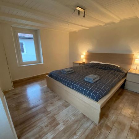 Maison T3 Cosy A 2 Minutes De Geneve Collonges-sous-Saleve Экстерьер фото
